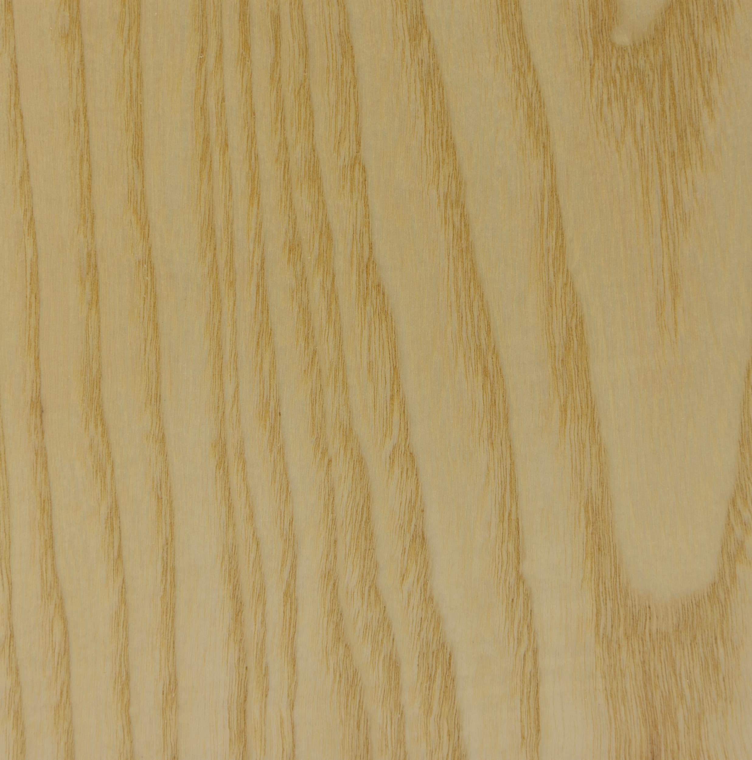 Crown Cut American White Ash veneer