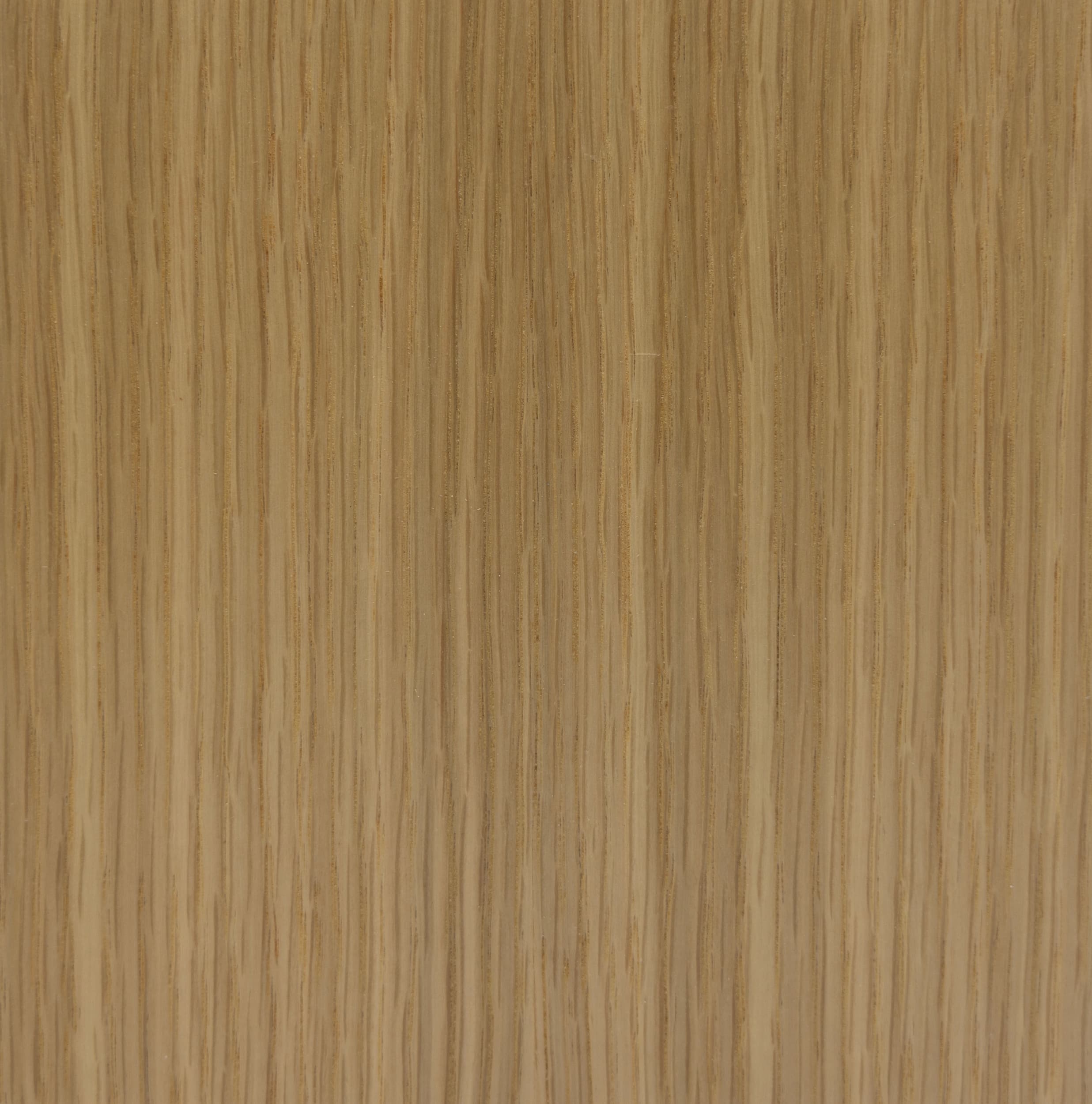 Quarter Cut American White Oak veneer