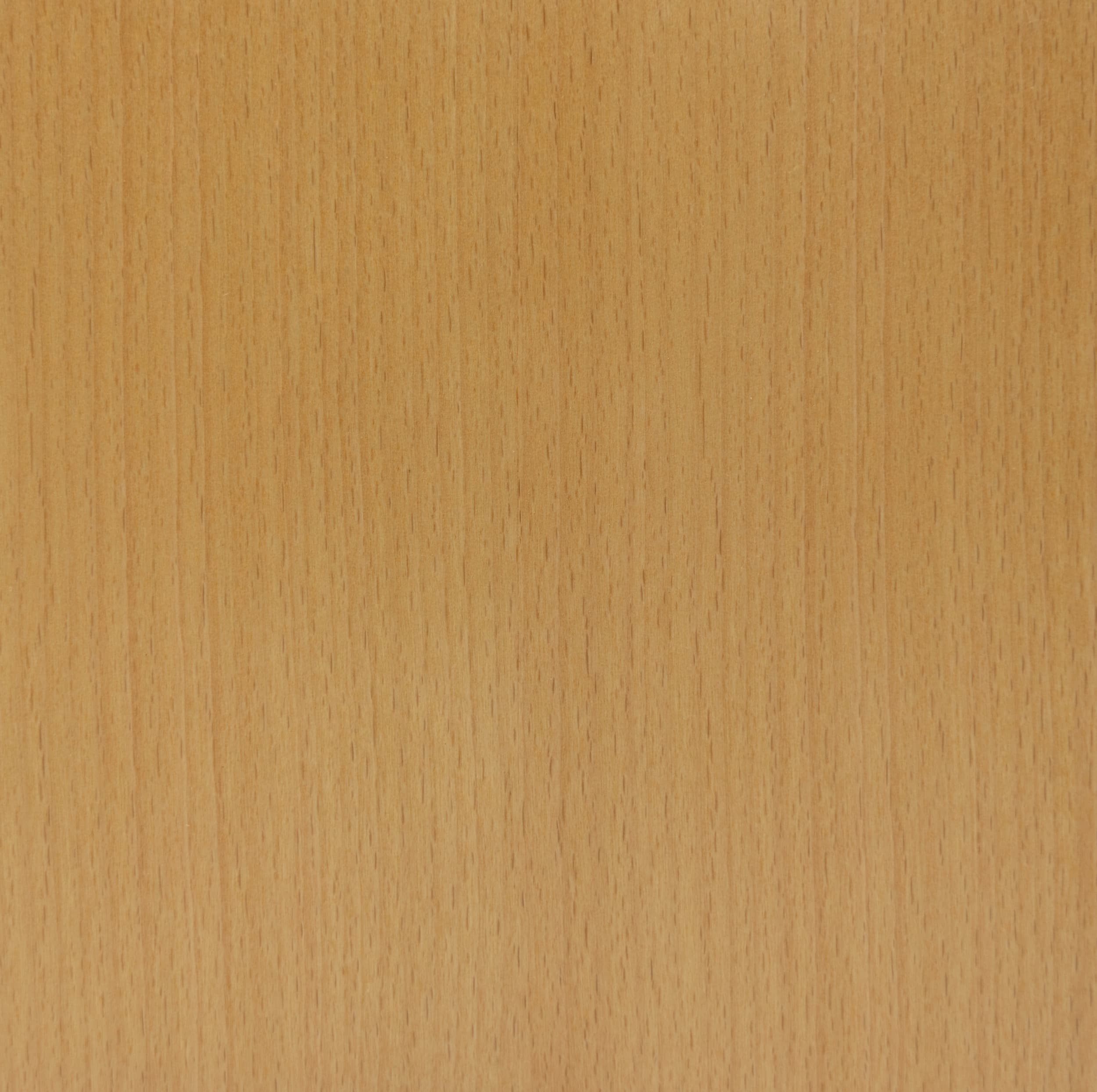 Quarter Cut Steamed Beech veneer