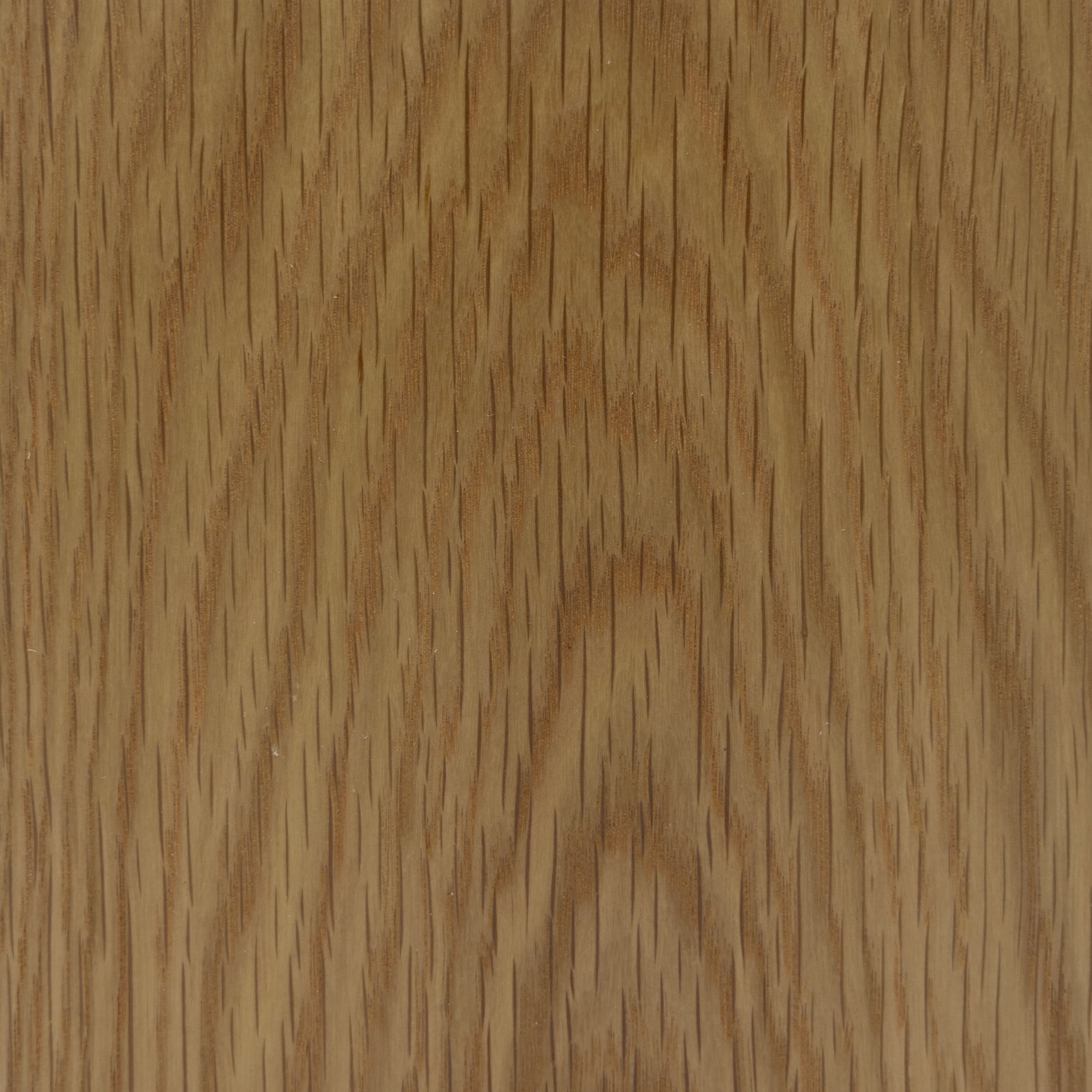 Crown Cut American White Oak veneer